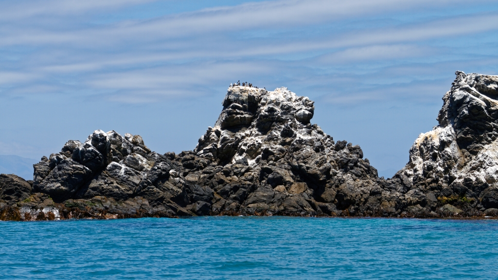 03 - La Serena (10) - Isla Choros.jpg